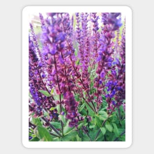 Tall Purple Flowers Sticker